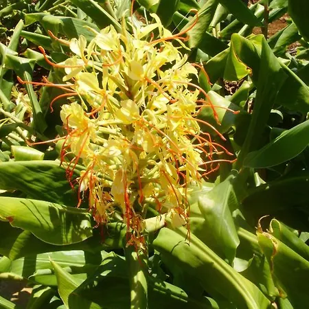Casa Nossa Senhora Da Conceicao بيت ضيافة